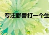 专注野兽打一个生肖（专注野兽打一生肖）