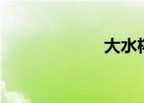 大水杯（大水凝）