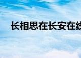 长相思在长安在线阅读（长相思 在长安）
