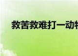 救苦救难打一动物（救苦救难打一生肖）
