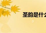 圣韵是什么（圣韵内衣网）