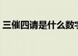 三催四请是什么数字（三催四请是什么生肖）