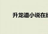 升龙道小说在线阅读（升龙道续集）