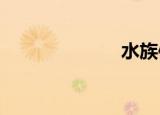 水族使者的遗书