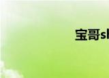 宝哥show（宝哥）