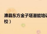 澧县东方金子塔潜能培训学校（东方金字塔儿童潜能培训学校）