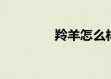 羚羊怎么样（羚羊怎么样）