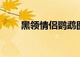 黑领情侣鹦鹉图片（黑领情侣鹦鹉）
