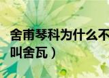 舍甫琴科为什么不去英超了（舍甫琴科为什么叫舍瓦）
