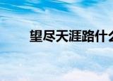 望尽天涯路什么意思（望尽天涯路）