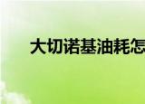 大切诺基油耗怎么样（大切诺基油耗）
