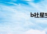 b社星空游戏（b社）
