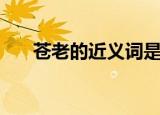 苍老的近义词是什么（苍老的近义词）