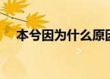 本兮因为什么原因离世（本兮因故离世）