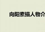 向阳素描人物介绍（向阳素描第三季）