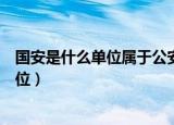 国安是什么单位属于公安系列吗全称是什么（国安是什么单位）