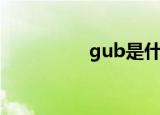 gub是什么牌子（gub）