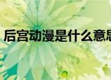 后宫动漫是什么意思（后宫动漫是什么意思）