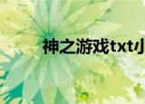 神之游戏txt小说下载（神之游戏）