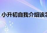 小升初自我介绍该怎么说（小升初自我介绍）