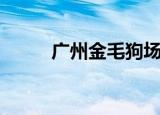 广州金毛狗场（广州金毛犬价格）