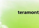 teramont大众（tera美服）