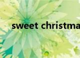 sweet christmas（sweet christmas）