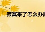 寂寞来了怎么办原唱（寂寞来了怎么办）