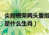 尖担檐柴两头重指什么生肖（尖担担柴两头脱是什么生肖）