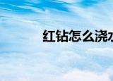 红钻怎么浇水（红钻怎么升级）