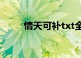 情天可补txt全集下载（情天可补）