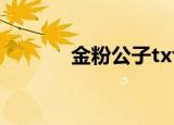 金粉公子txt（金粉公子传说）
