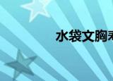 水袋文胸寿命（水袋文胸）