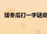 矮冬瓜打一字谜底是什么（矮冬瓜打一字）