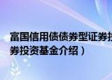 富国信用债债券型证券投资基金（关于富国信用债债券型证券投资基金介绍）