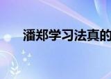 潘郑学习法真的有用吗（潘郑学习法）