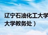 辽宁石油化工大学教务处电话（辽宁石油化工大学教务处）