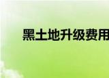 黑土地升级费用（黑土地升级价格表）
