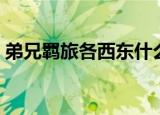 弟兄羁旅各西东什么意思（弟兄羁旅各西东）