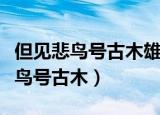 但见悲鸟号古木雄飞雌从绕林间意思（但见悲鸟号古木）