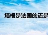 培根是法国的还是英国的（法国就是培根）