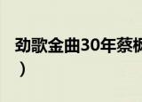 劲歌金曲30年蔡枫华卢敏仪（劲歌金曲3歌词）