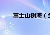 富士山树海（关于富士山树海介绍）