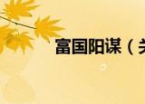 富国阳谋（关于富国阳谋介绍）