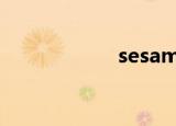 sesame（seseaa）