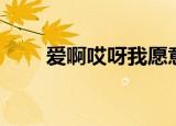 爱啊哎呀我愿意（爱啊哎呀我爱你）