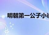 明朝第一公子小说下载（明朝第一公子）
