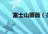 富士山蔷薇（关于富士山蔷薇介绍）