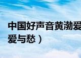 中国好声音黄渤爱与愁全集（中国好声音黄渤爱与愁）