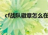 cf战队徽章怎么在游戏中显（cf战队徽章）